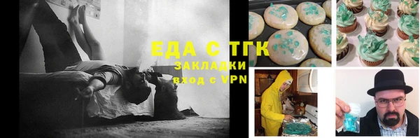 индика Алзамай