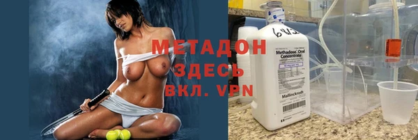 индика Алзамай