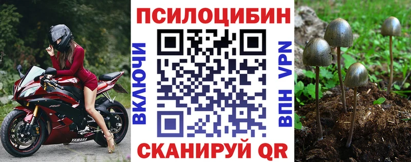 даркнет сайт  Пугачёв  Галлюциногенные грибы Psilocybe 